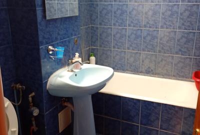 2camere centrala g - pet friendly - parcare propie - 11