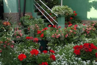 Casă cu 4 camere cu Teren 627 Mp în Central - 16