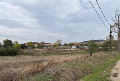 Teren extravilan 8665 mp, Fratostita, Filiasi, COMISION ZERO - 2