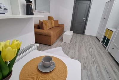 Palas Complex Lazar Res, apartament 2 camere open space - 2