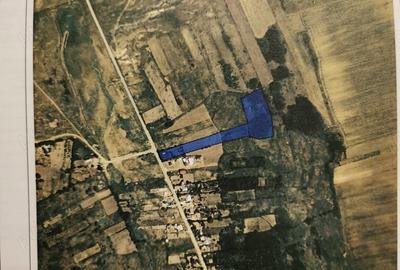 Teren de 11877 mp, în Găureni - 6