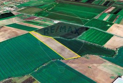Teren agricol extravilan de 65900 mp, în Livada