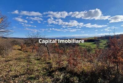 Teren de vanzare in Gro?i, Maramure?, 55 ari - 3