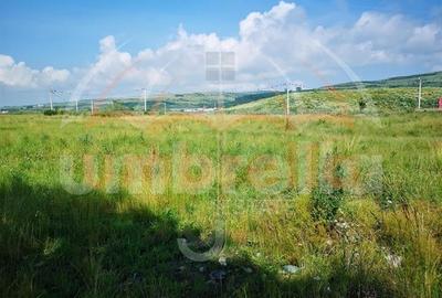 Teren de vanzare in Gherla, Strada Gelu langa groapa de gunoi 64.500mp - 2