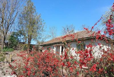 Casă cu Teren 2000 Mp în Cerchezu - 1