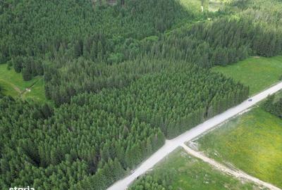 Teren de 5000 mp, în Comandău - 12