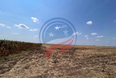 Teren de 5087 mp, în Pielești - 4