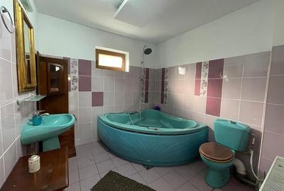 Vila deosebita, 2 corpuri P+M si P+1E, Margineni-Bacau - 33