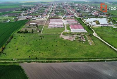 Teren Construcții intravilan de 58340 mp, în Sânmartinu Sârbesc - 15