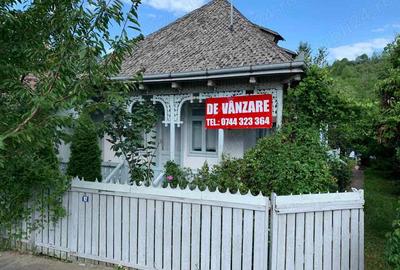 Vand casa cu teren la tara - 3