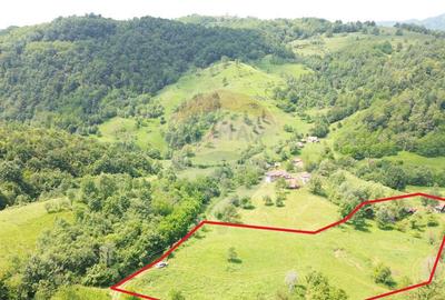 Teren intravilan de vis in Mun?ii Apuseni, curent + izv... - 2