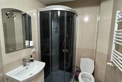 Apartament cu o camera de inchiriat in zona Circumvalatiunii - 2