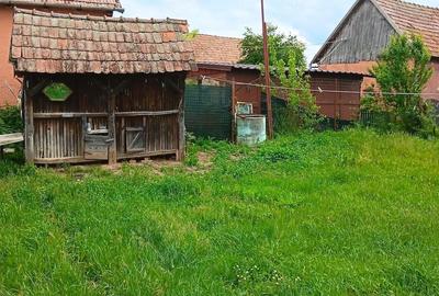 Casă cu Teren 2453 Mp în Roșia de Secaș - 4