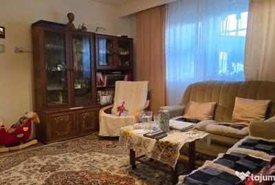 Apartament cu 4 camere semidecomandat în Gojdu - 4