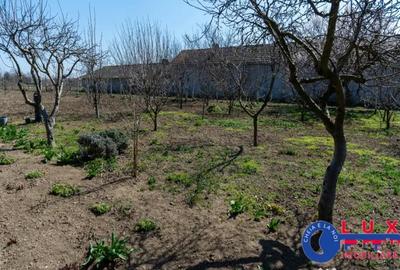 Casă cu 3 camere cu Teren 1461 Mp în Ceamurlia de Jos - 8