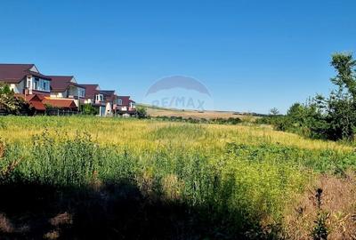 Teren 3.538 mp - Zona in Dezvoltare, Piatra Neamt - 6