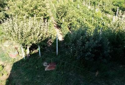 Casă cu 6 camere în Voinești - 1