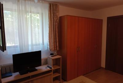 Vanzare proprietate cu doua case si intrari separate curte Giulesti - 18