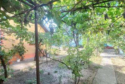 VILĂ P+1 BRÂNCOVEANU 10 MIN DE METROU 411 MP TEREN IDEALĂ LOCUIT - 4