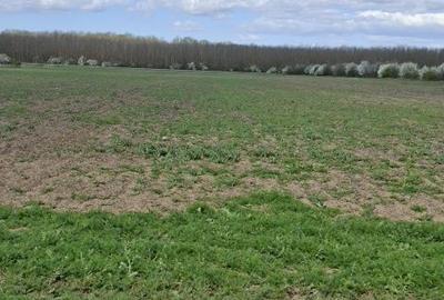 Spațiu comercial, în Dragomirești-Deal