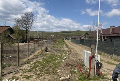 Teren de 760 mp, în Vernești - 3