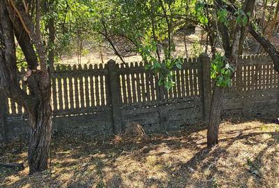 Spațiu comercial, în Balș - 4