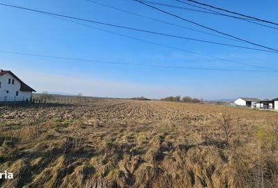 Spațiu comercial, în Mogoșești - 1