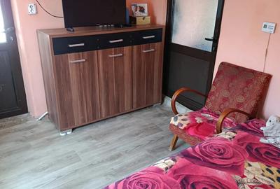Casa de vanzare Calina,Prundeni - 2