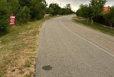 Vânzare teren 17000 mp, localitatea Pojogeni, jud. Gorj - 2