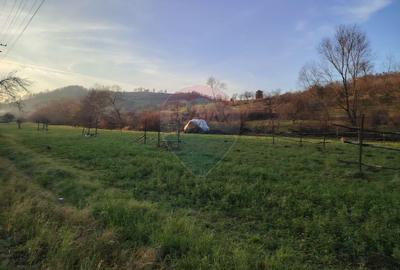 COMISION 0%  Teren intravilan de vanzare in Barsana (26 ARI) - 1