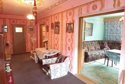 Bradisoru de Jos, Casa 14 Incaperi + Teren 1439MP - 3