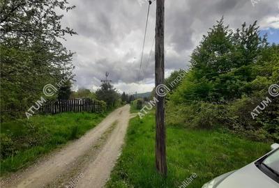 Teren intravilan 2750 mp in Avrig zona Valea Avrigului - 2