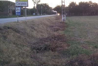 Spațiu comercial, în Cărpiniș - 47