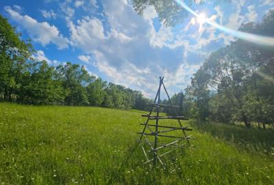 TEREN DE VANZARE APROAPE DE PADURE - 7