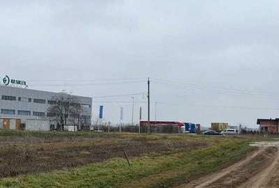 Spațiu comercial, în Dascălu - 5