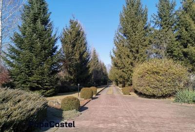 Breaza de Sus vila 487 mp utili S+P+1E+M cu teren 6258 mp - 13