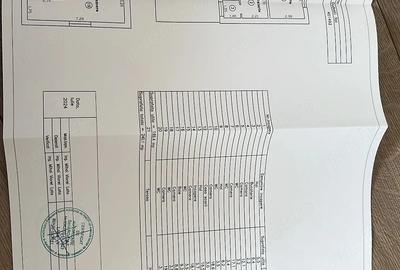 Casă cu 6 camere cu Teren 1800 Mp în Dudeștii Noi - 4