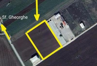 Teren industrial Ozun - Sfantul Gheorghe 11.800 mp