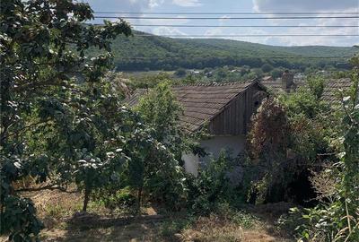 Teren de 3078 mp, în Ciucurova - 4