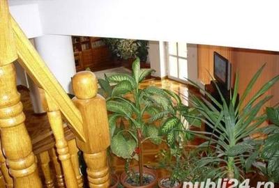 Casă cu 6 camere cu Teren 450 Mp în Sub Arini - 3