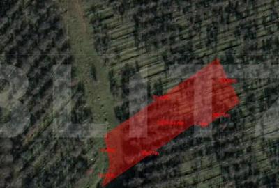 Teren de 2900 mp, în Central