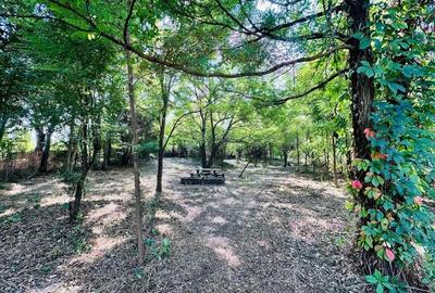 Teren intravilan 1500mp in Livedea, Ialomita - 4