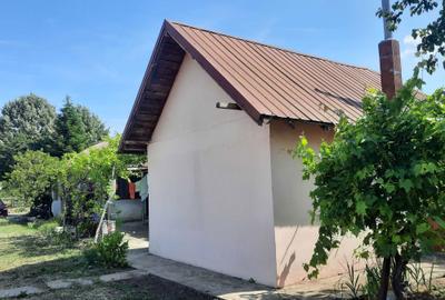 Spațiu comercial, în Amara - 3