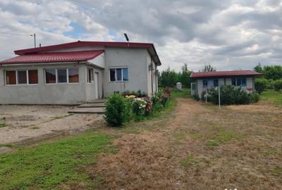 Casă cu 4 camere cu Teren 4800 Mp în Central - 3