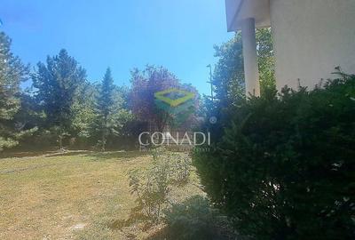 Herastrau, imobil de birouri de inchiriat, 545 mp utili - 11