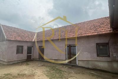 Casă cu 6 camere cu Teren 2160 Mp în Balinț - 12