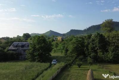 Teren de 10304 mp, în Slatina - 9