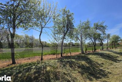 Teren de 2012 mp, în Lipovei