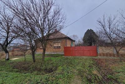 Casă în Peciu Nou - 9