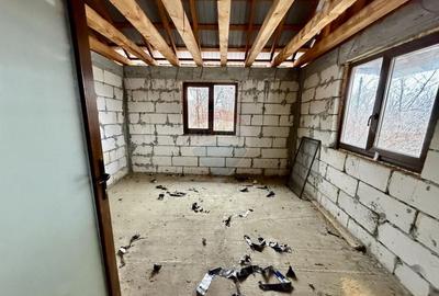 Casă Bolotesti / Vitanestii de Sub Magura - 21